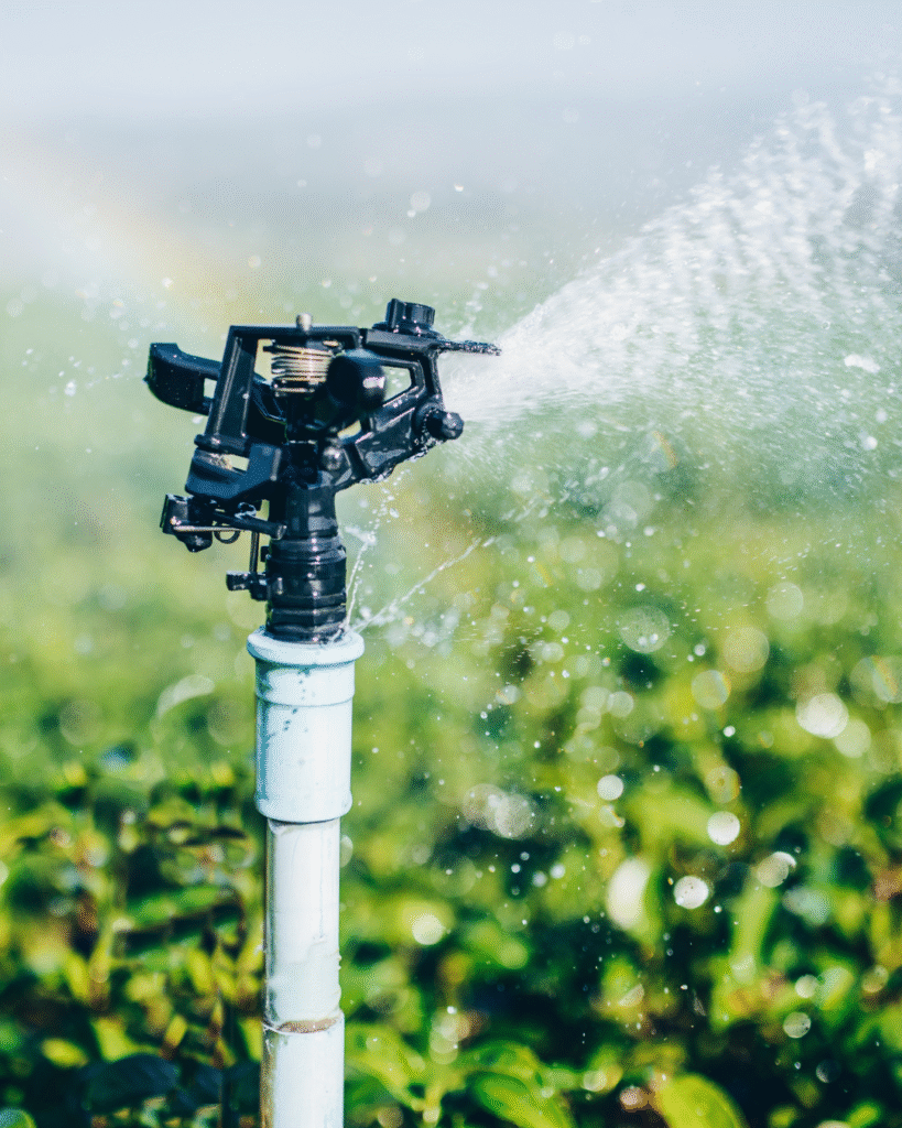 Irrigation Services in Jupiter Island FL