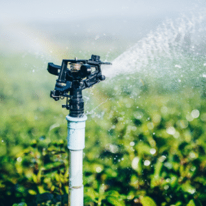 sprinkler maintenance contracts florida