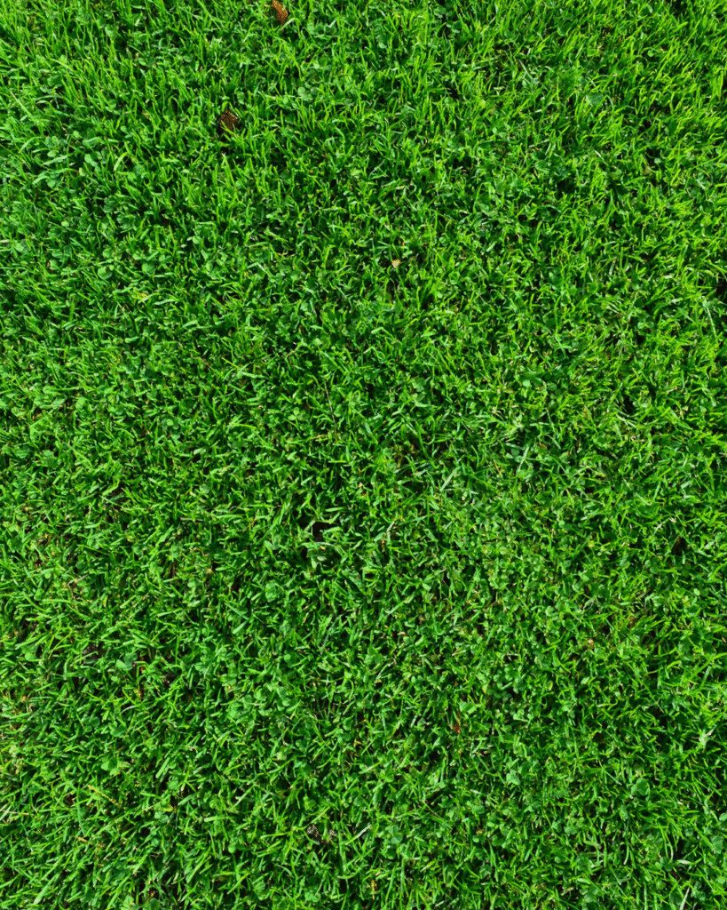Irrigation Services in Miramar FL