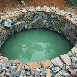 well water irrigation Florida