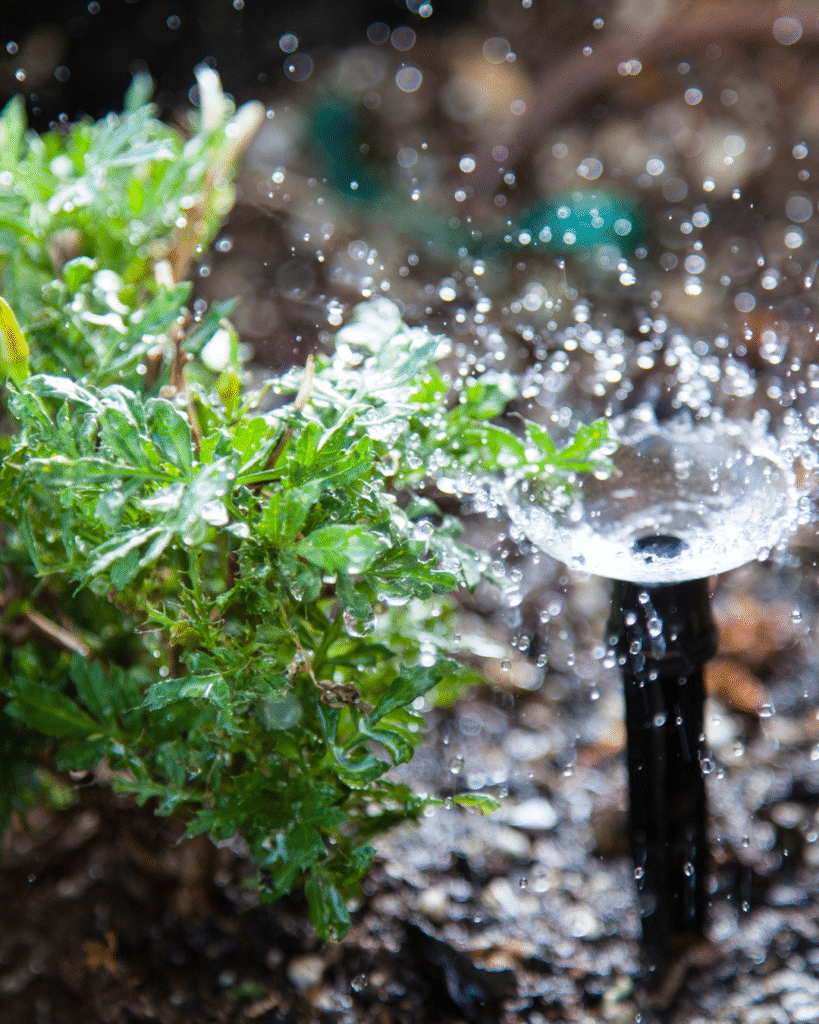 Irrigation Services in Boynton Beach Fl