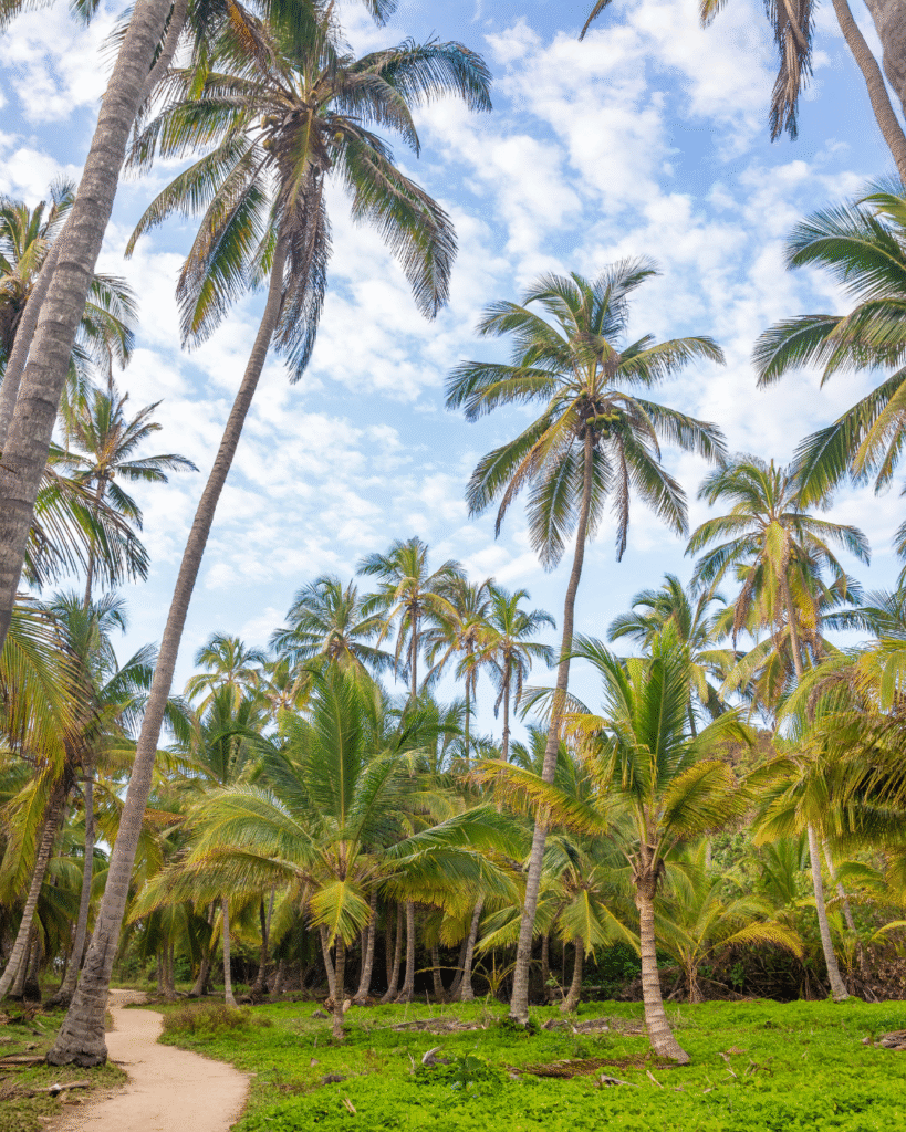 Irrigation Services in Palm Beach FL