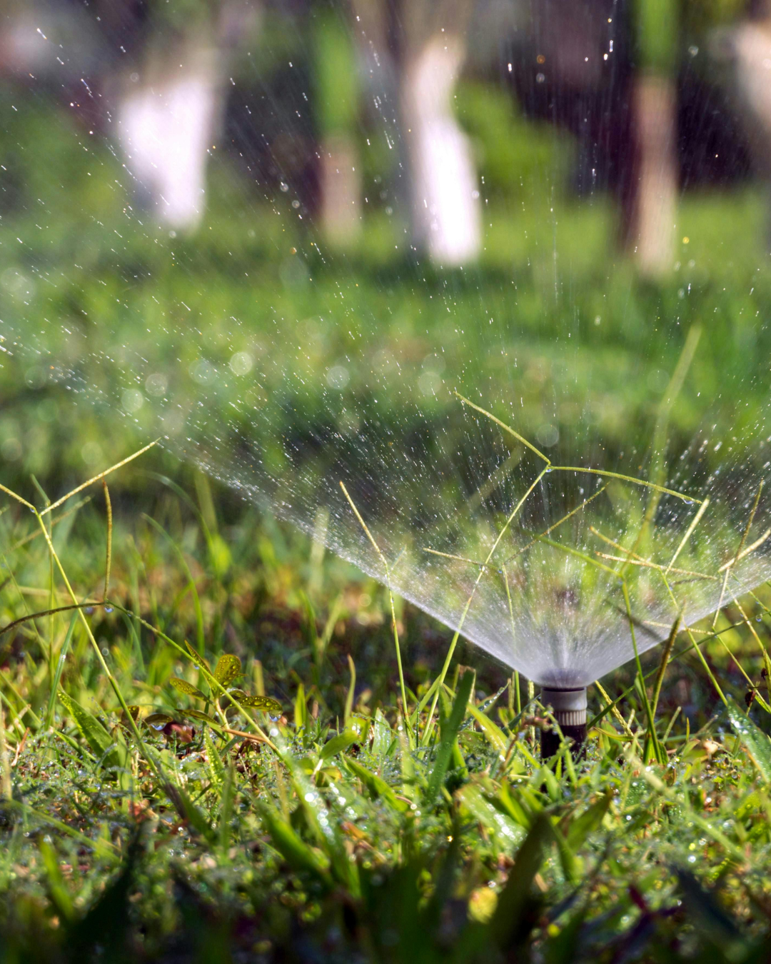 Automated lawn watering experts