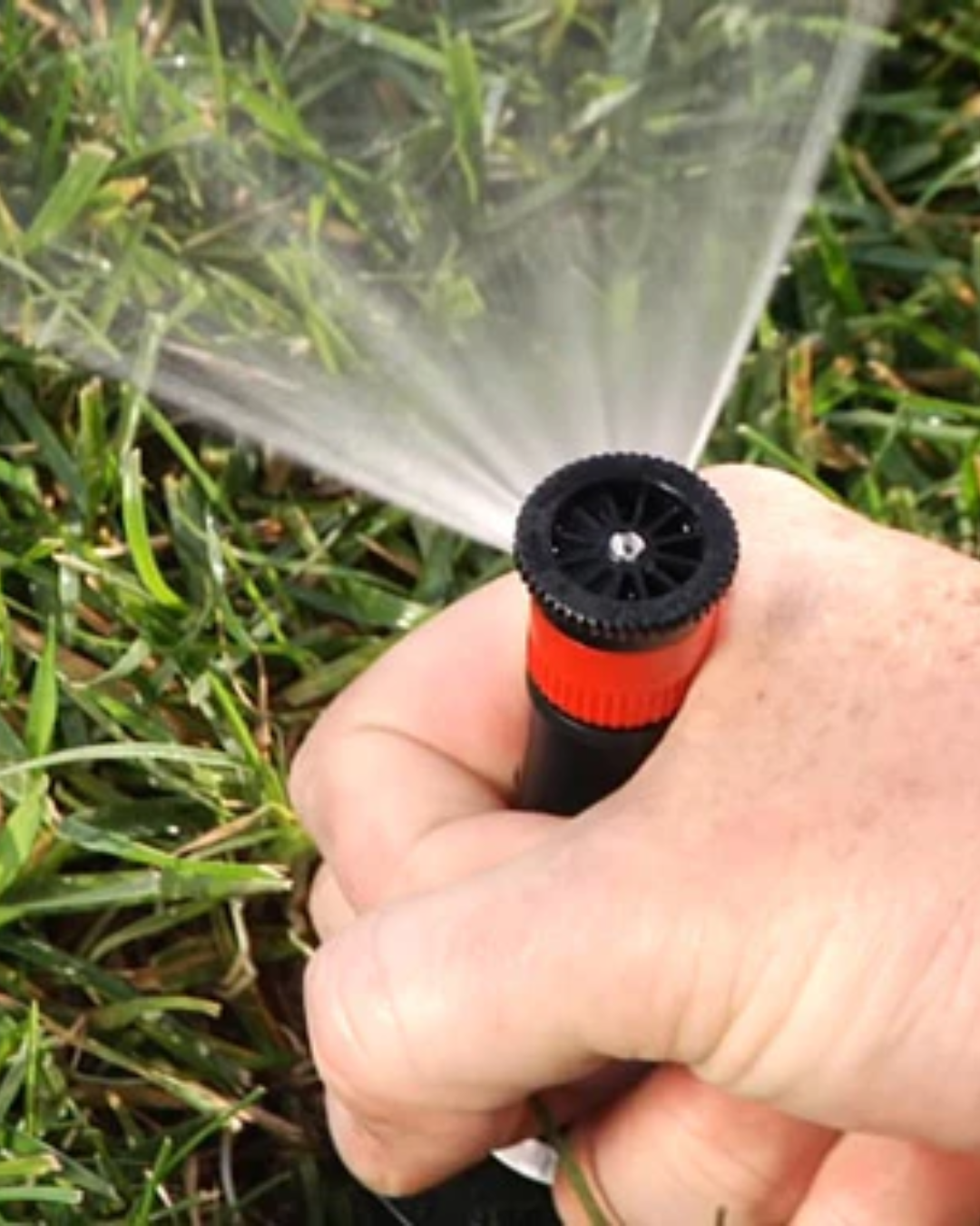 sprinkler system tune-up
