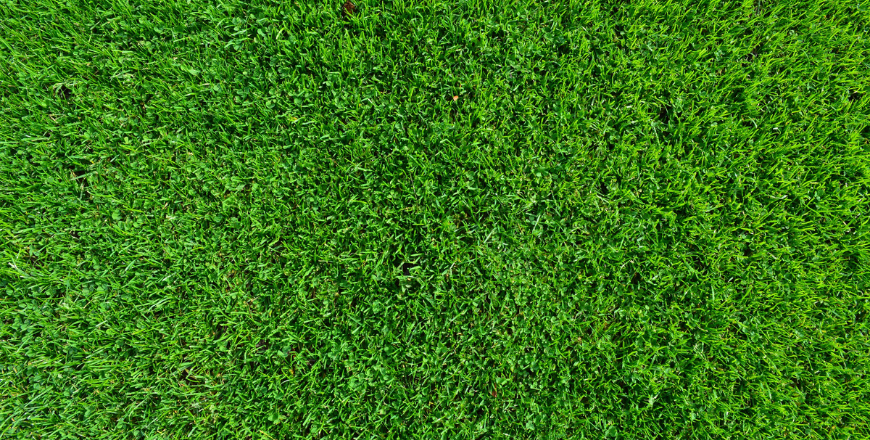artificial turf installation