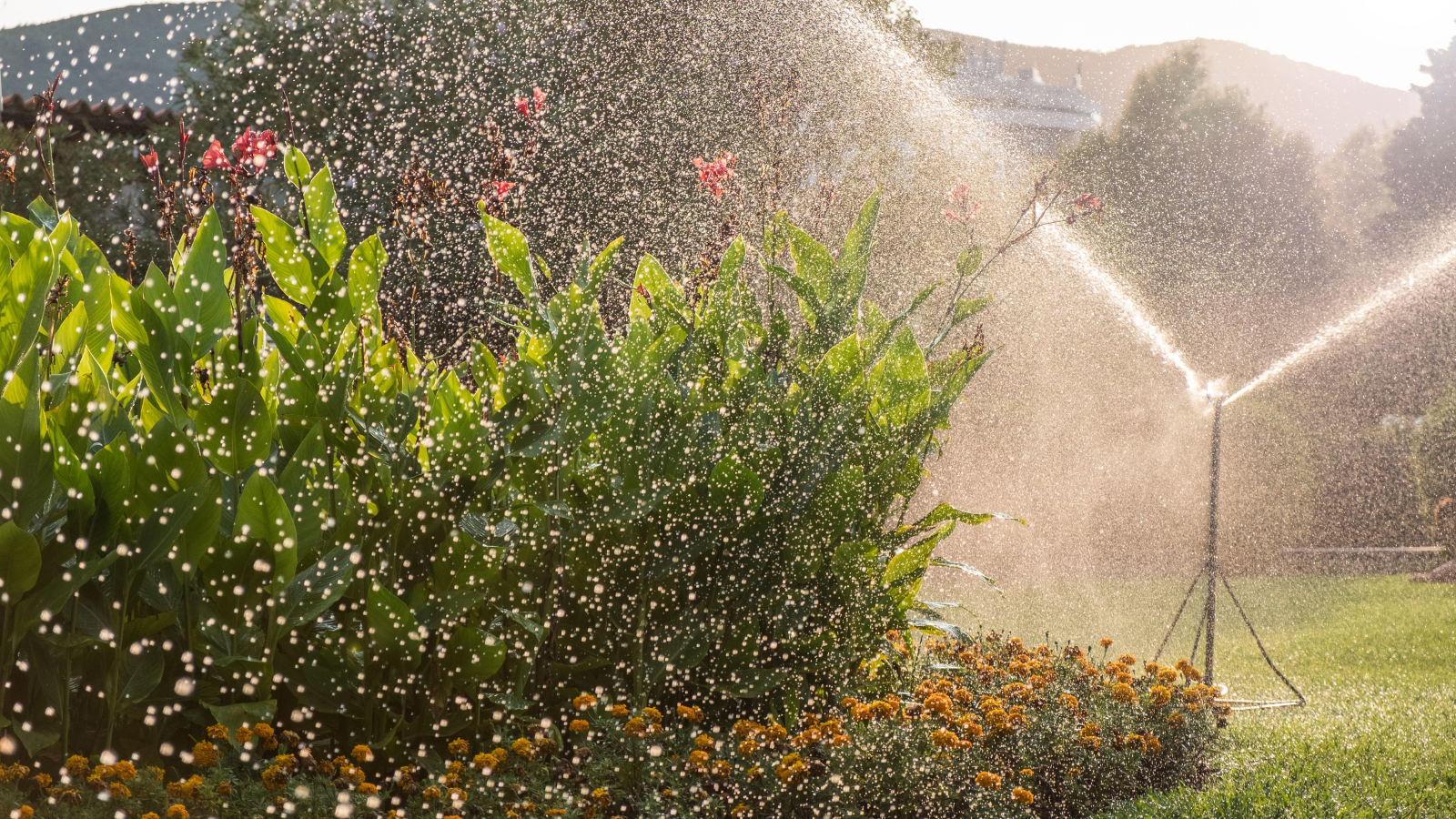 sprinkler zone design Florida
