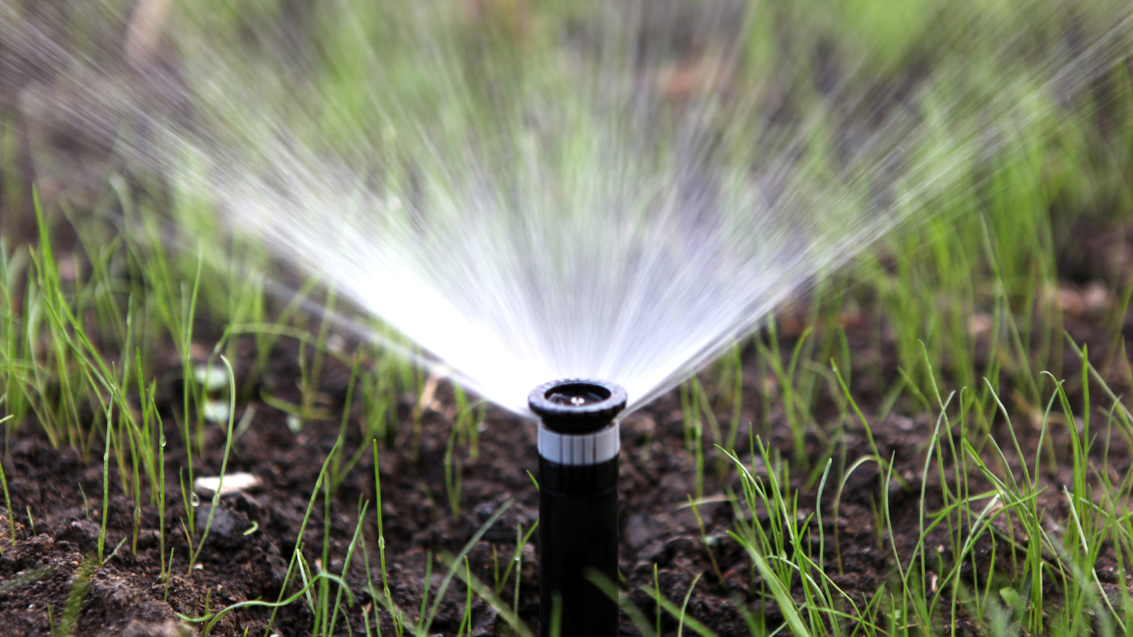 water conservation drip irrigation